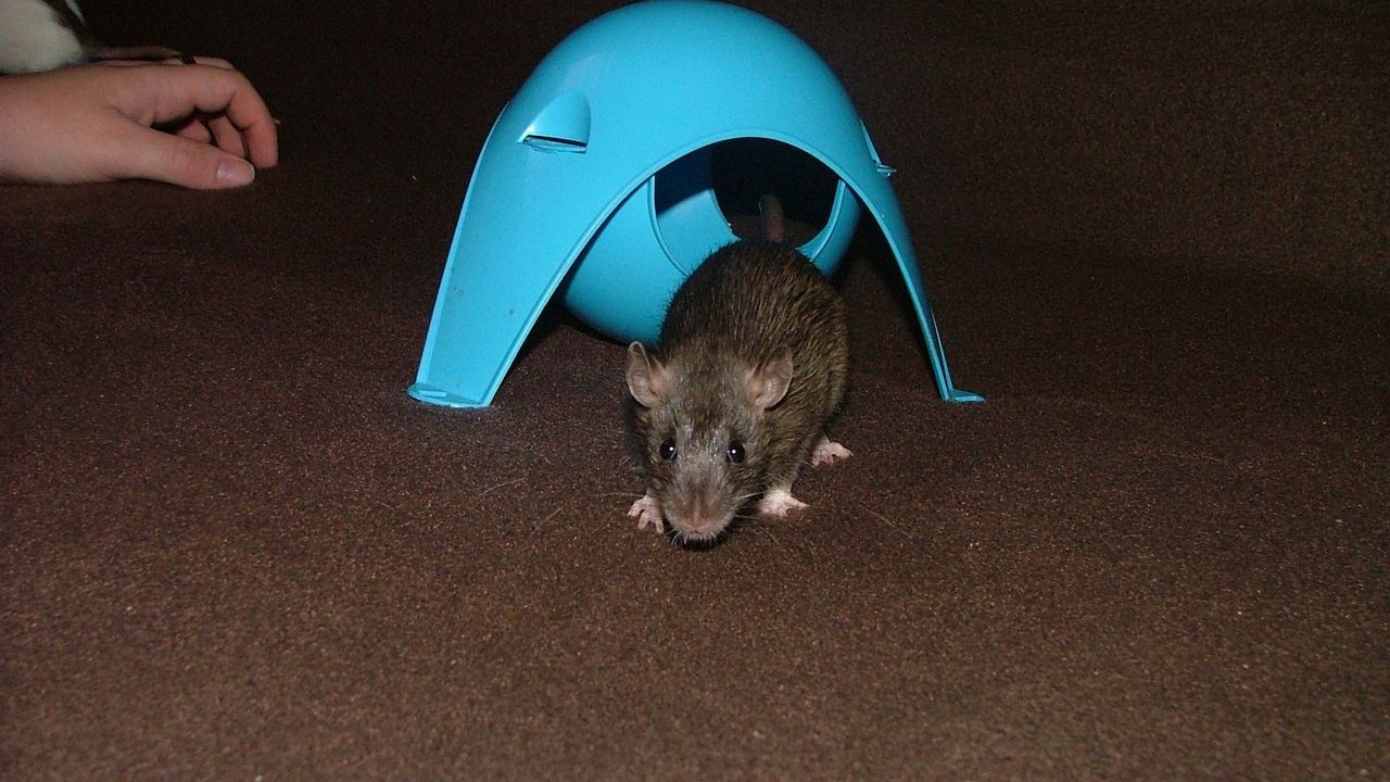 DSCF5470.JPG