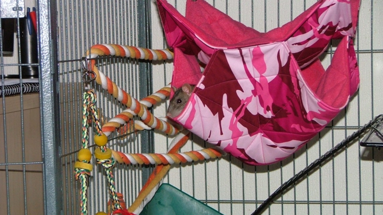 dscf6872.jpg