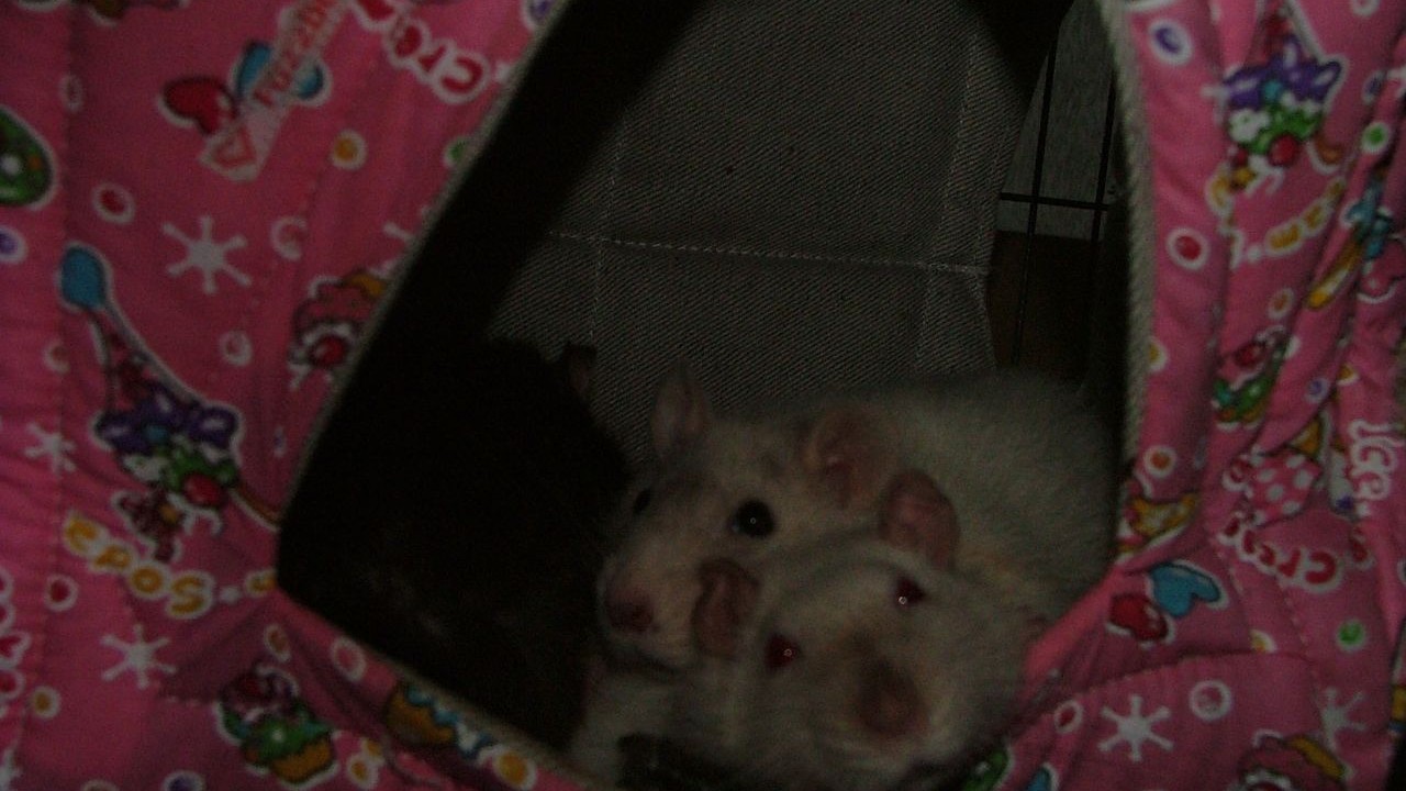 DSCF5672.JPG