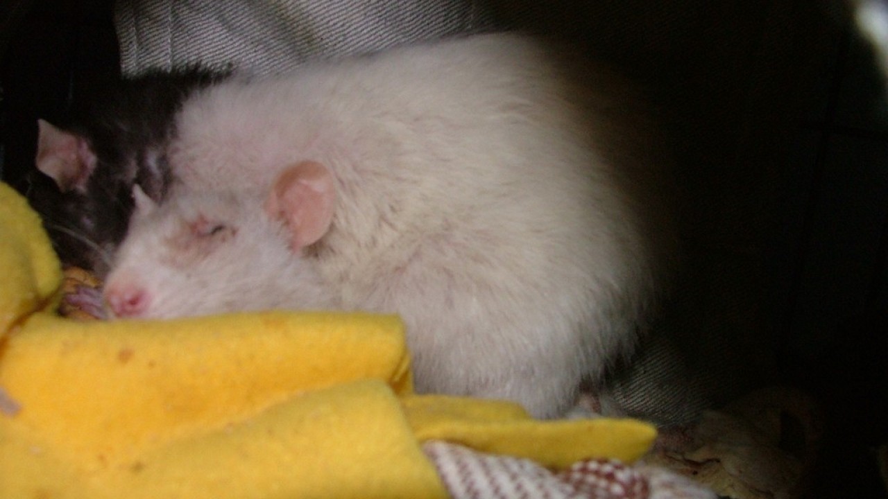 dscf6048.jpg