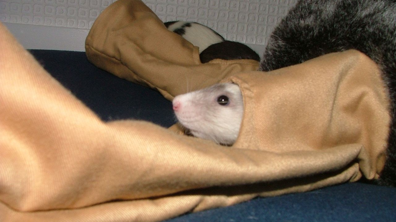 DSCF3934.JPG