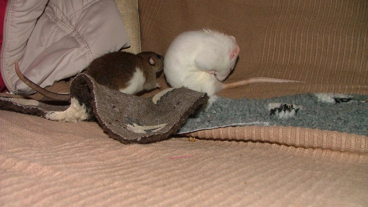 DSCF6652.JPG