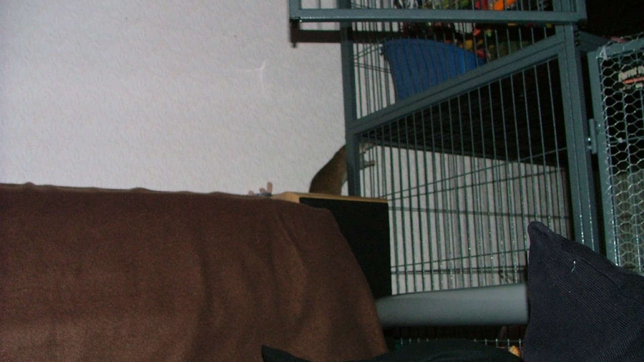 dscf6043.jpg