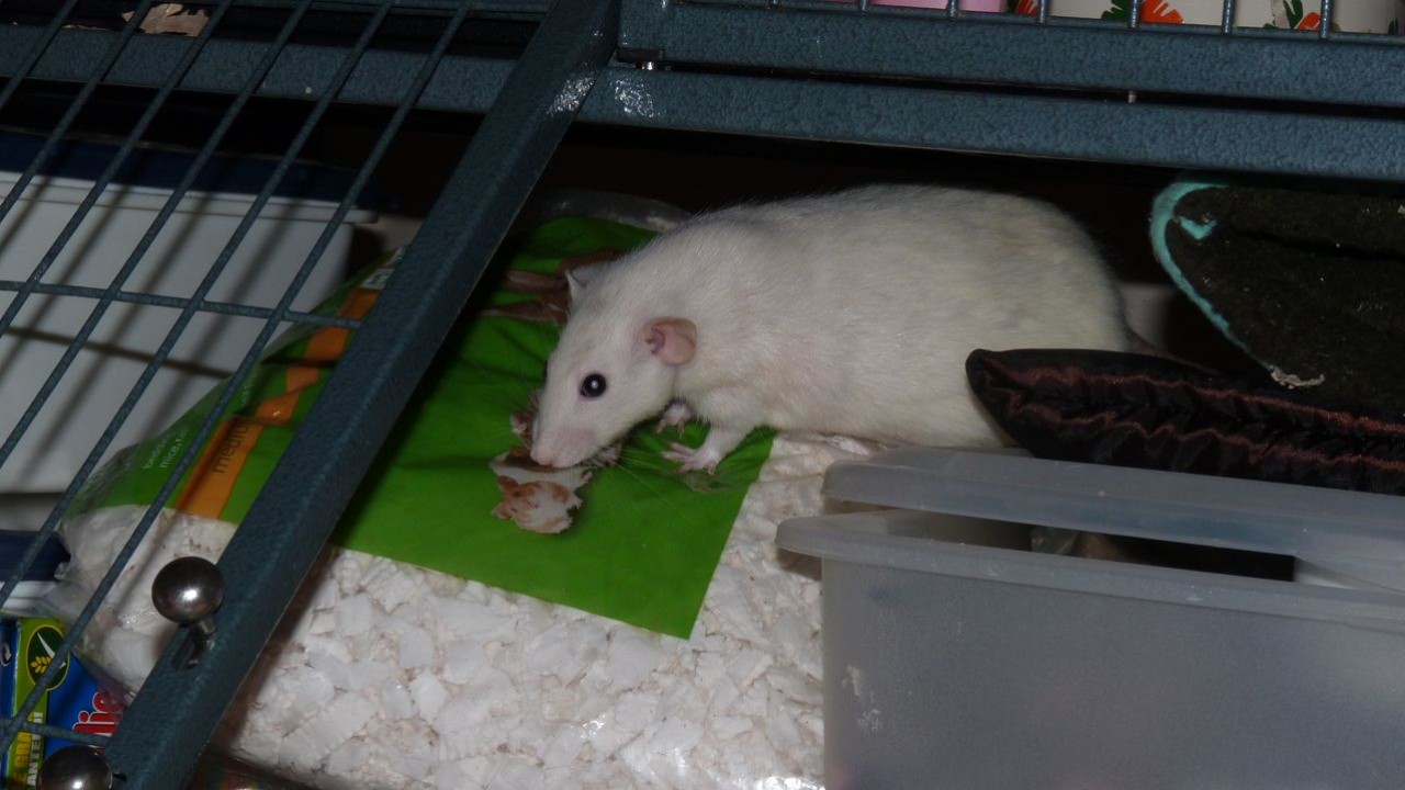 P1010369.JPG