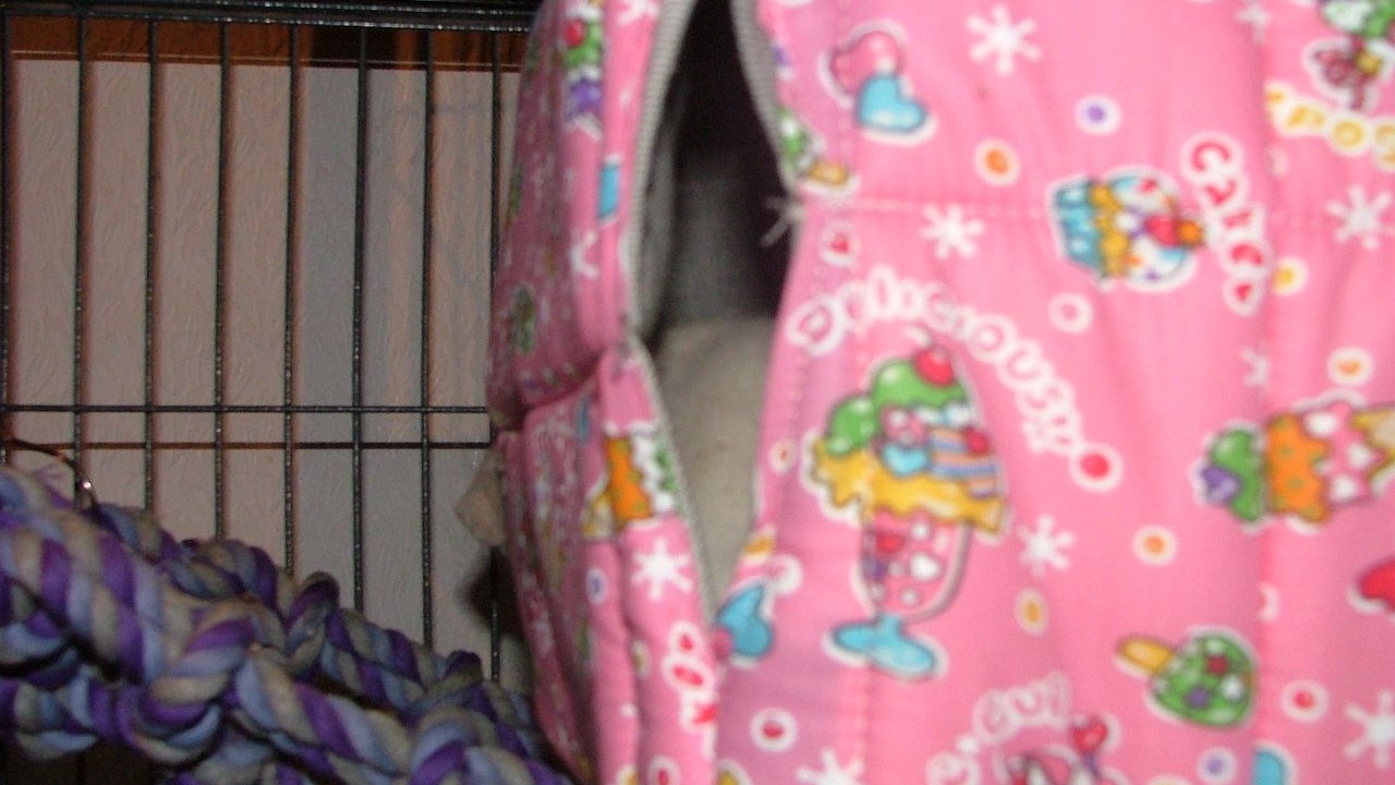 DSCF5661.JPG