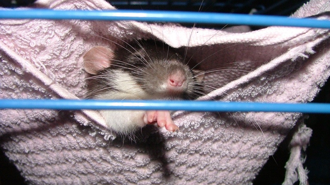 DSCF4127.JPG