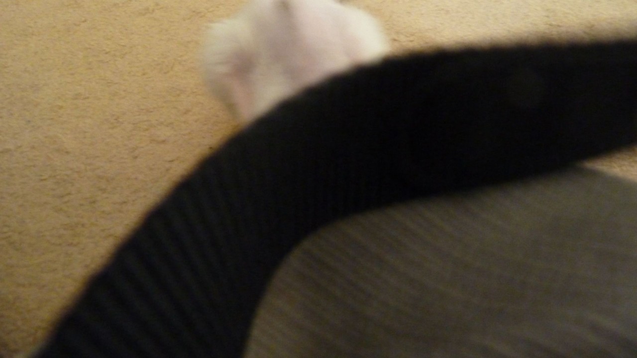 P1060821.JPG
