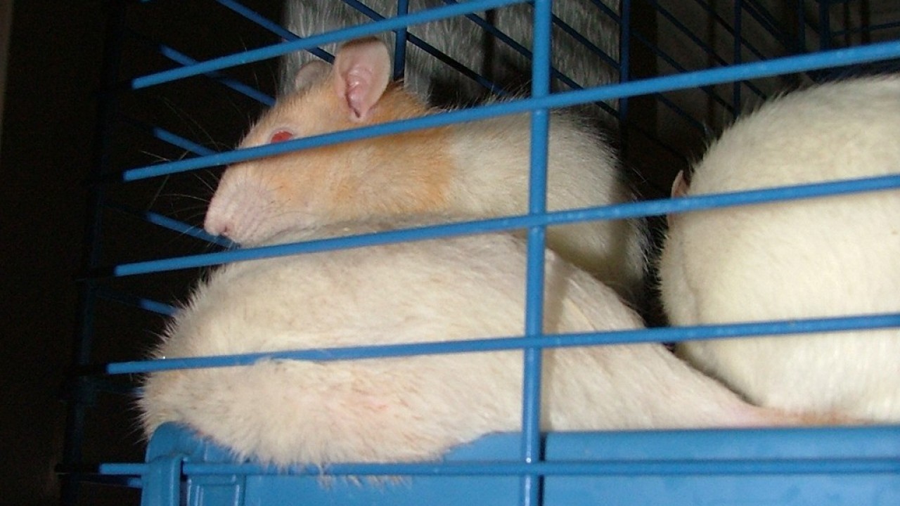 DSCF3772.JPG