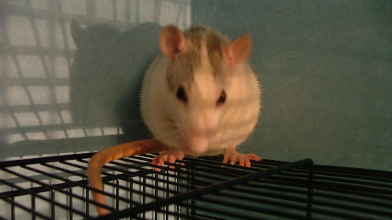 DSCF1543.JPG