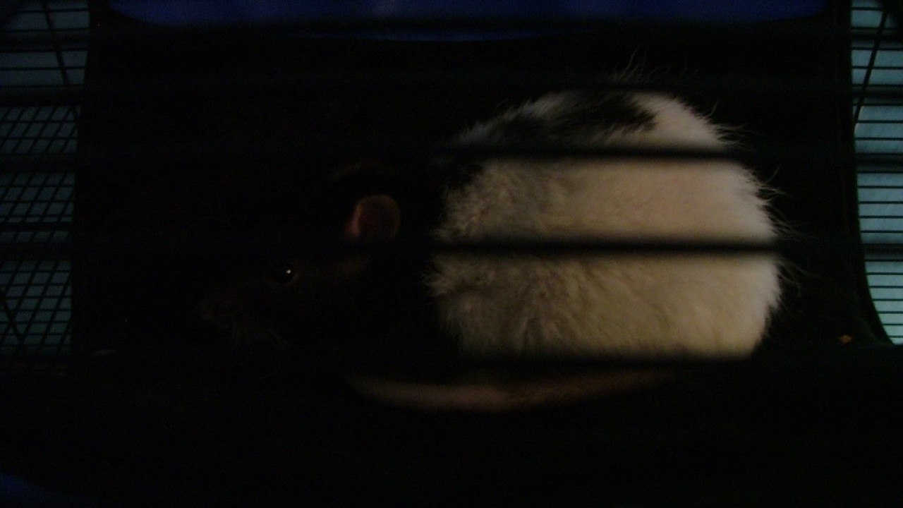 DSCF1530.JPG