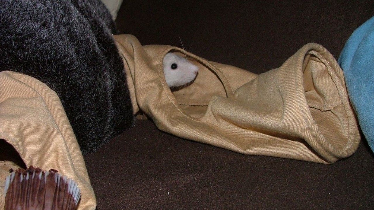 DSCF5567.JPG