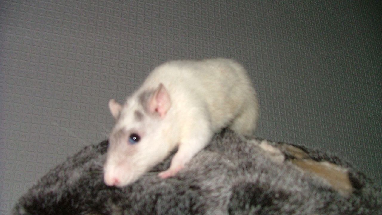 DSCF3941.JPG