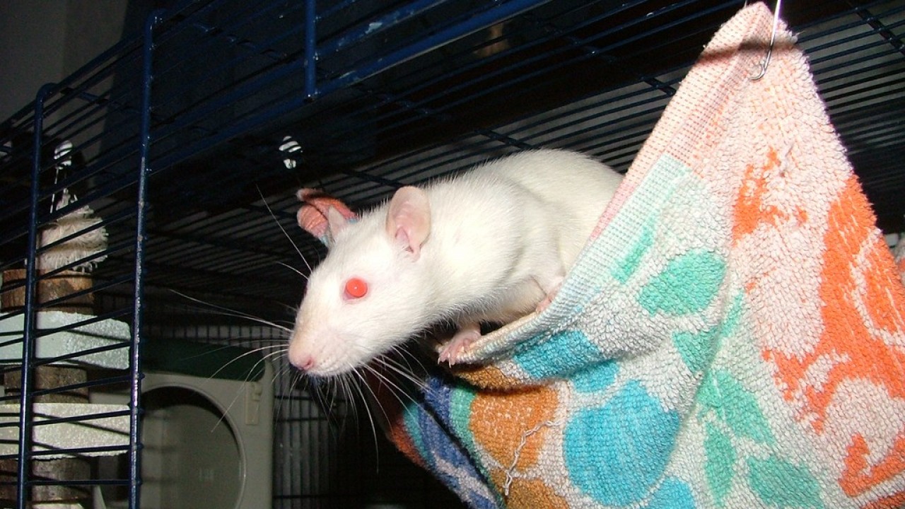 DSCF3886.JPG