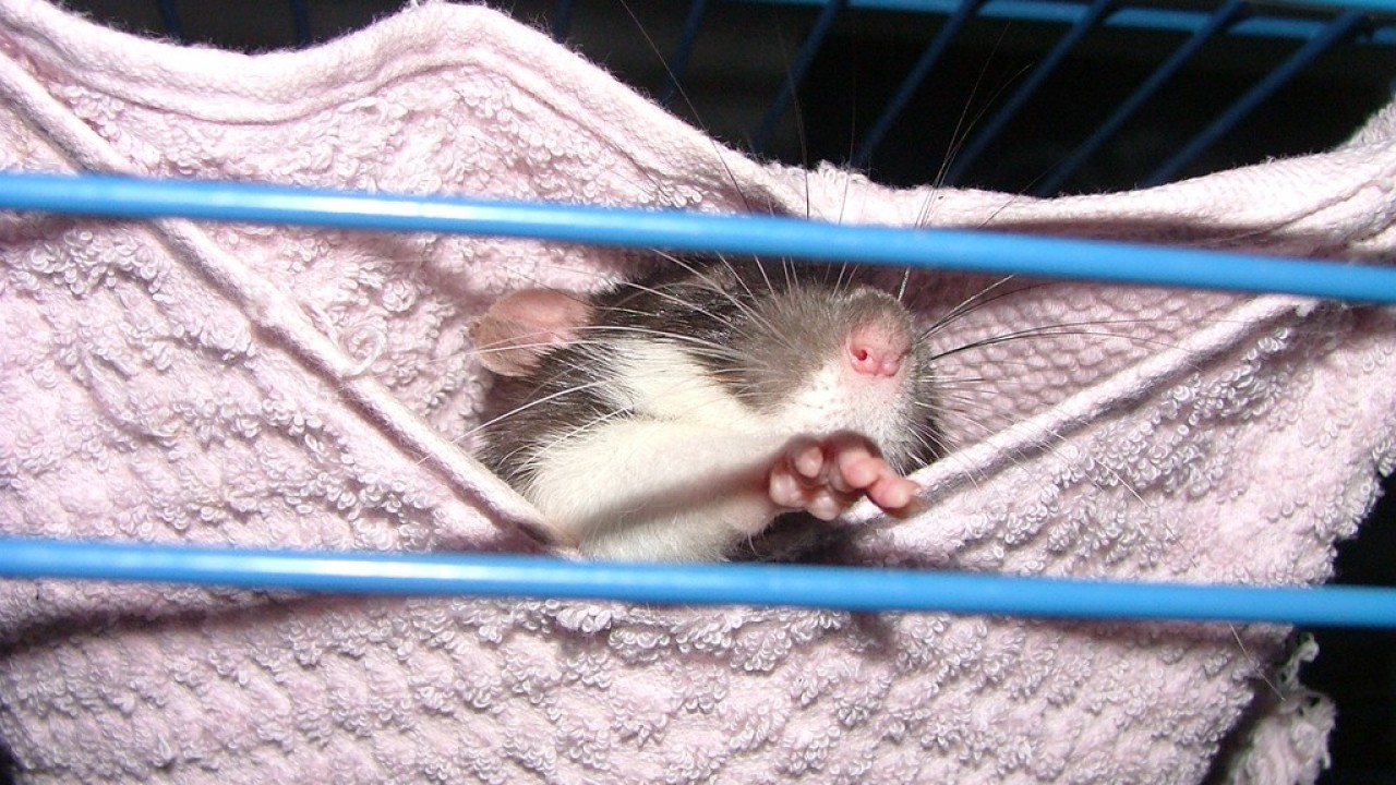 DSCF4126.JPG