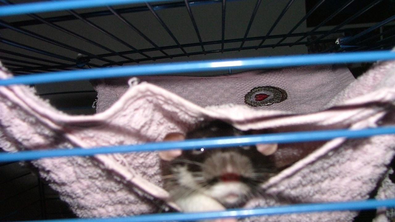 DSCF4125.JPG