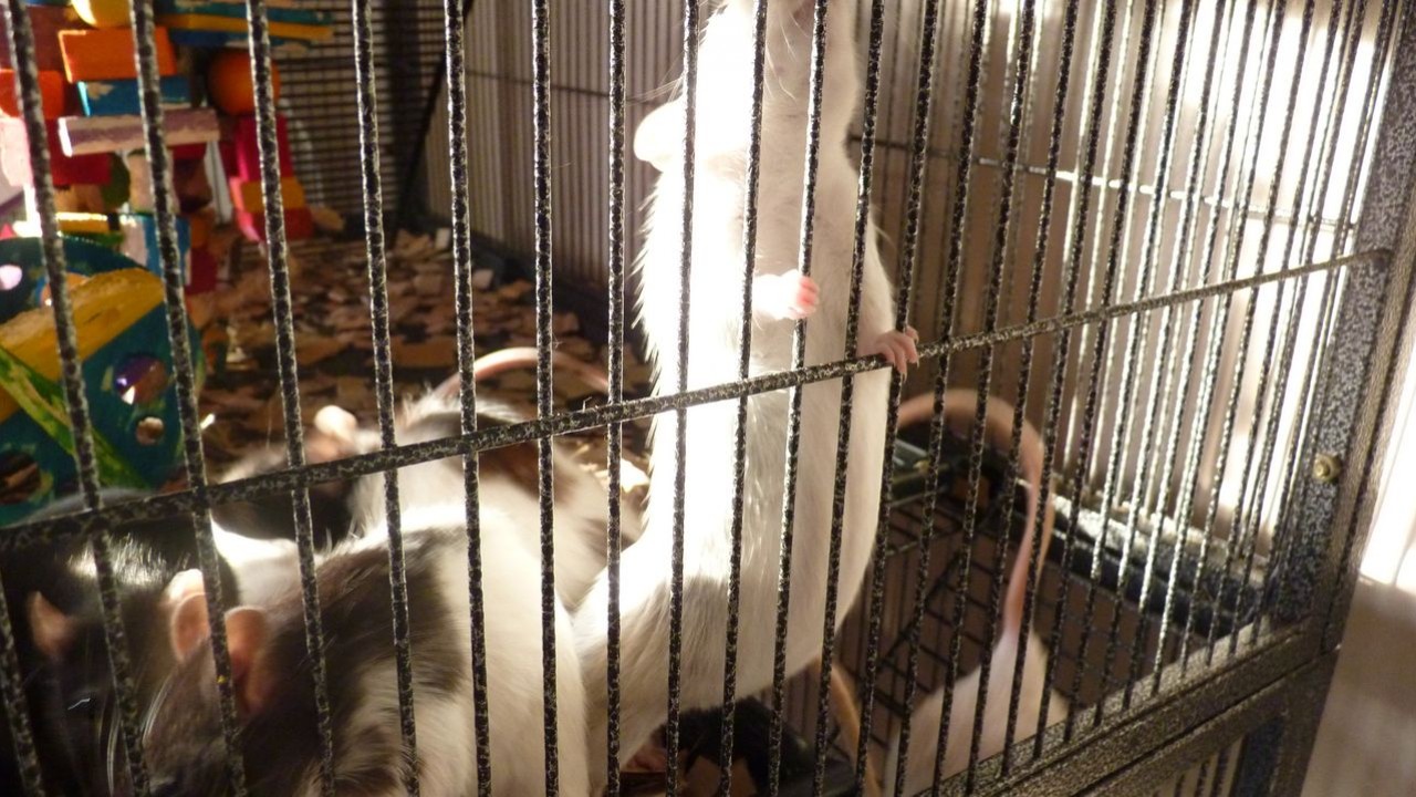 P1060019.JPG