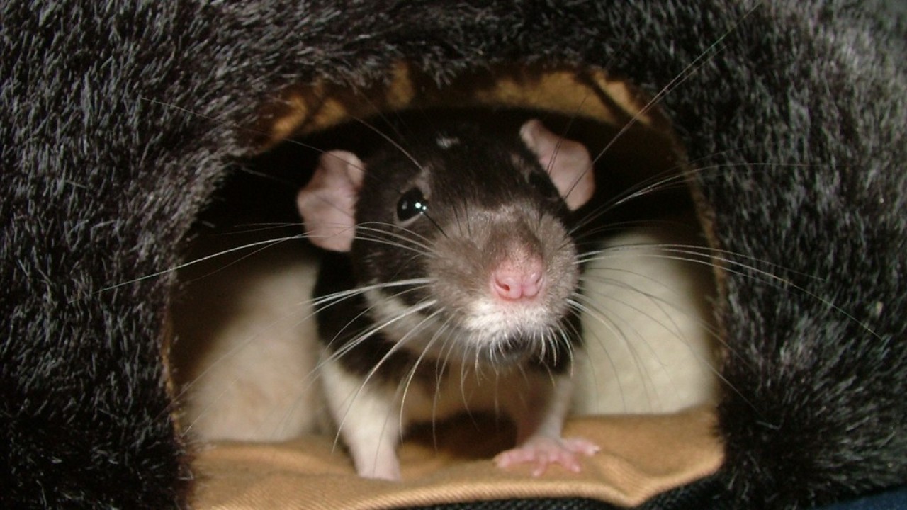 DSCF3937.JPG
