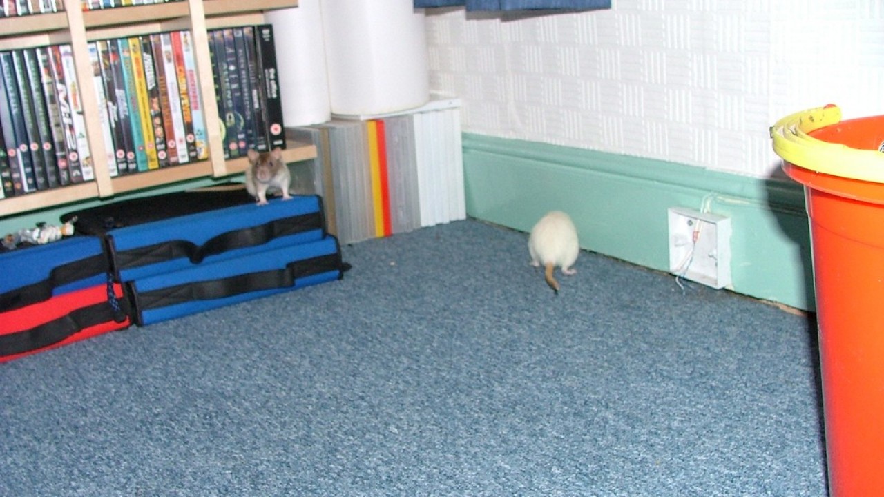 DSCF2658.JPG