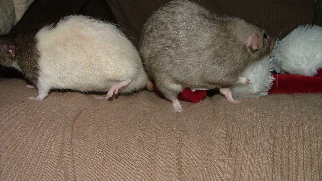 DSCF6723.JPG