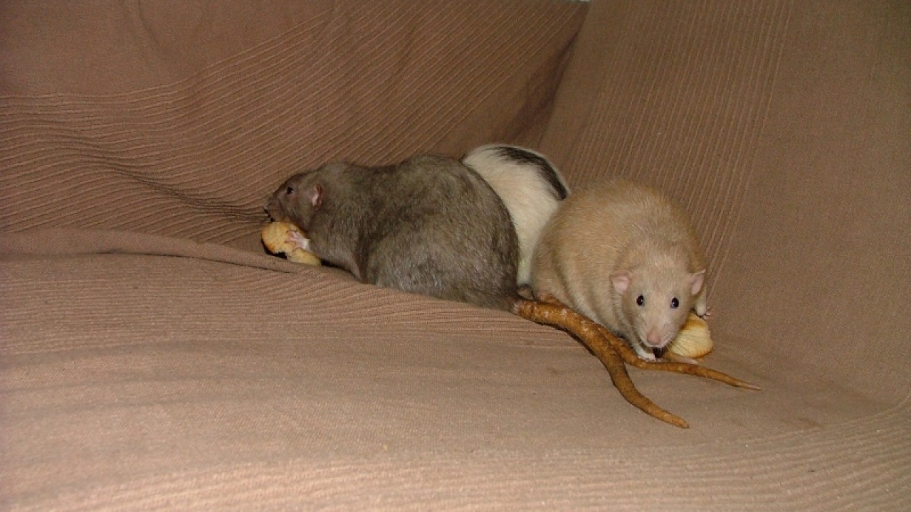 dscf6900.jpg