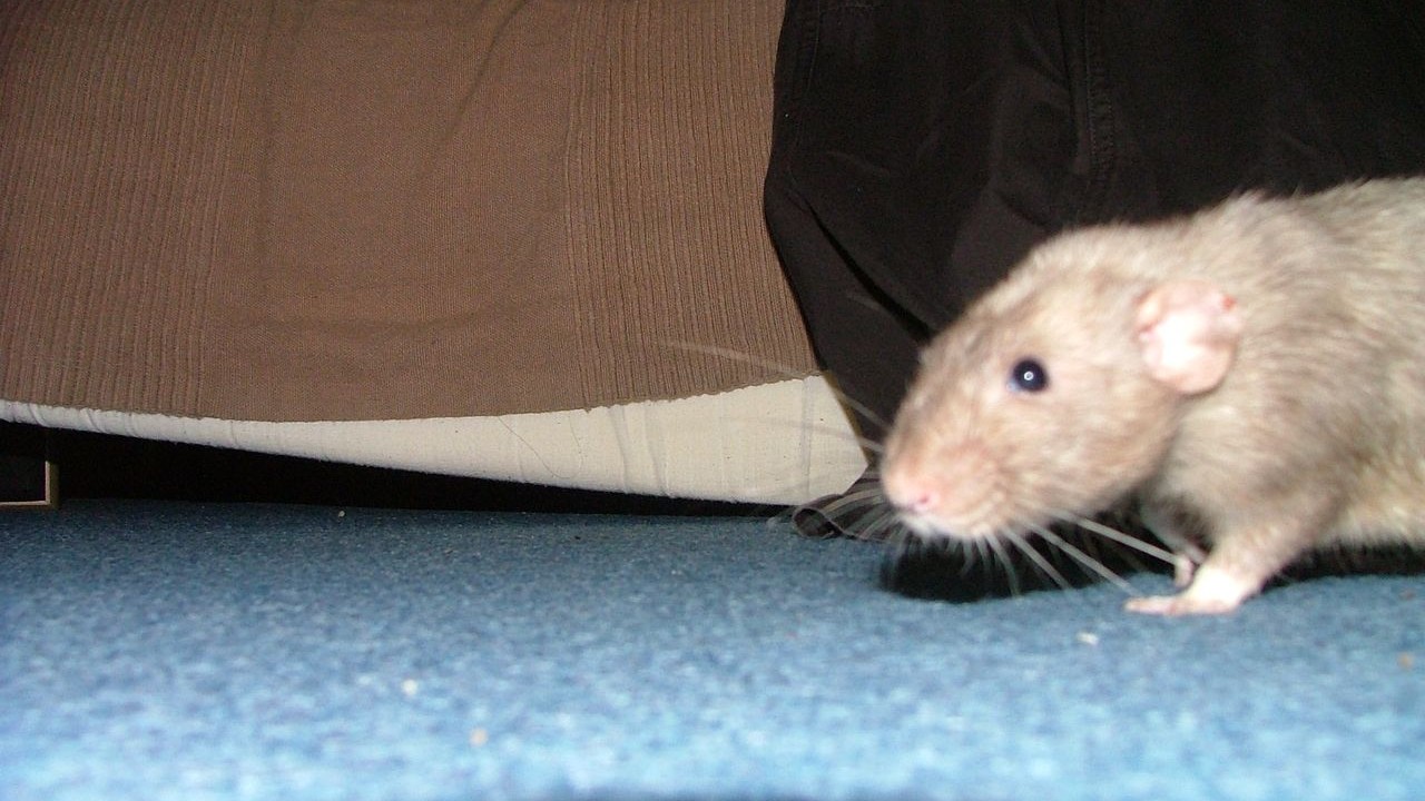 DSCF6674.JPG