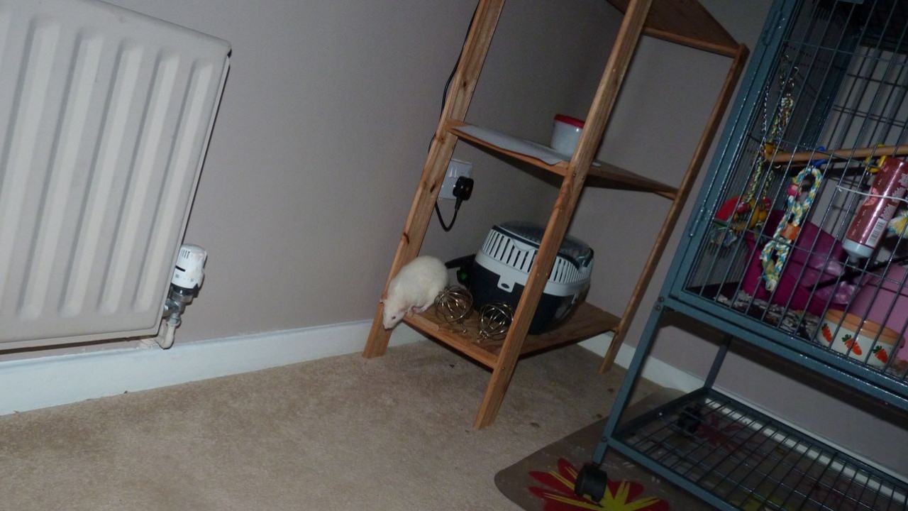 P1010632.JPG