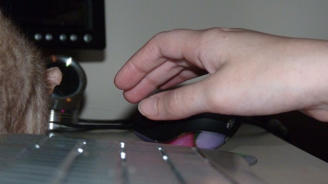 P1000907.JPG