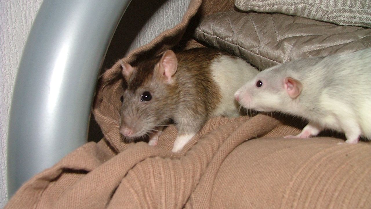 DSCF6772.JPG